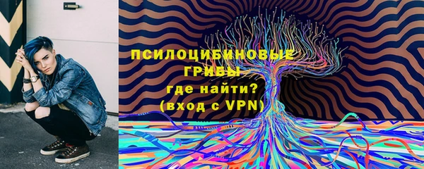 МДПВ Алексин