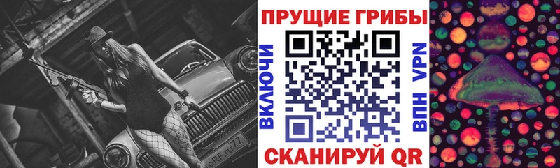 Галлюциногенные грибы Psilocybine cubensis  Колпашево 